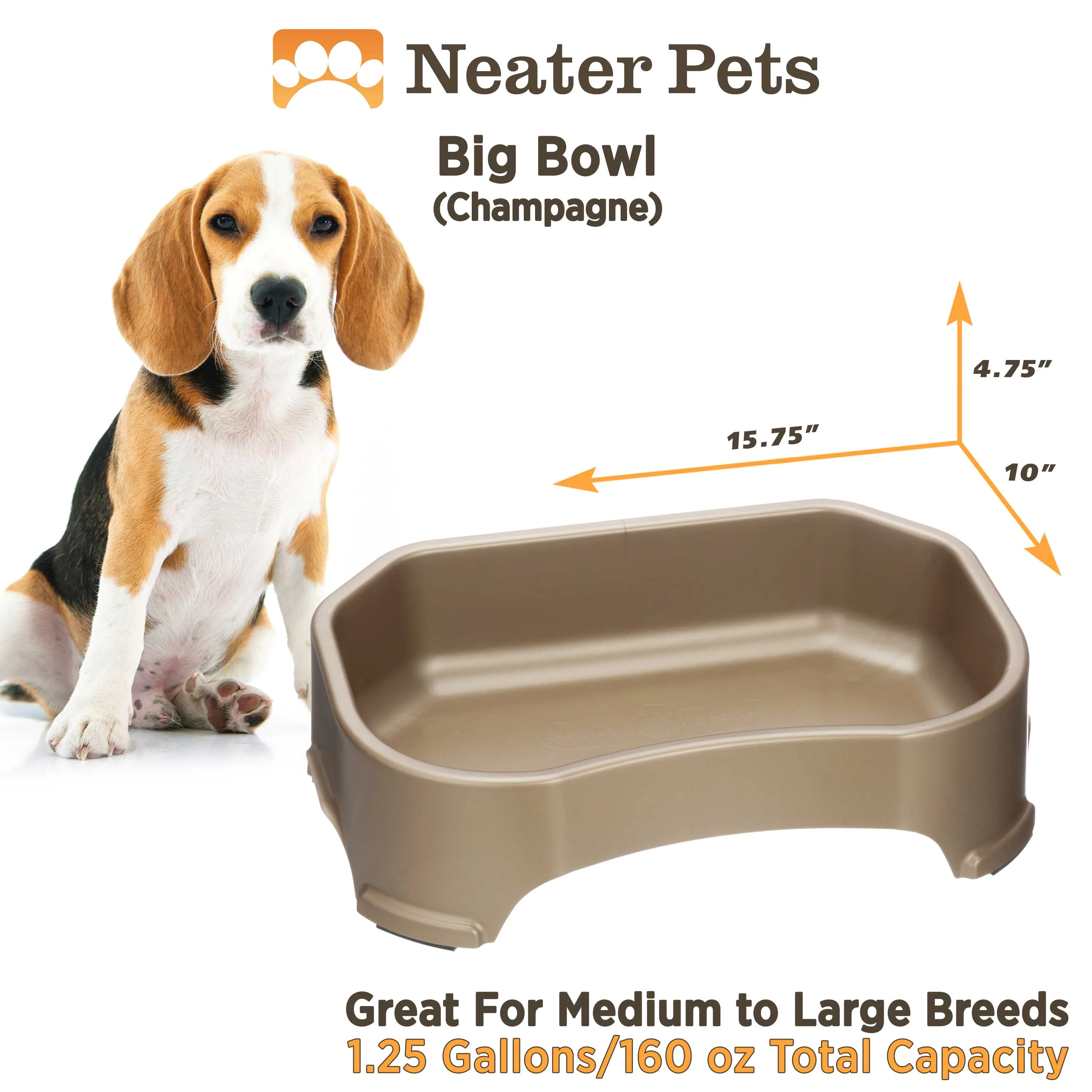 Big & Giant Bowl