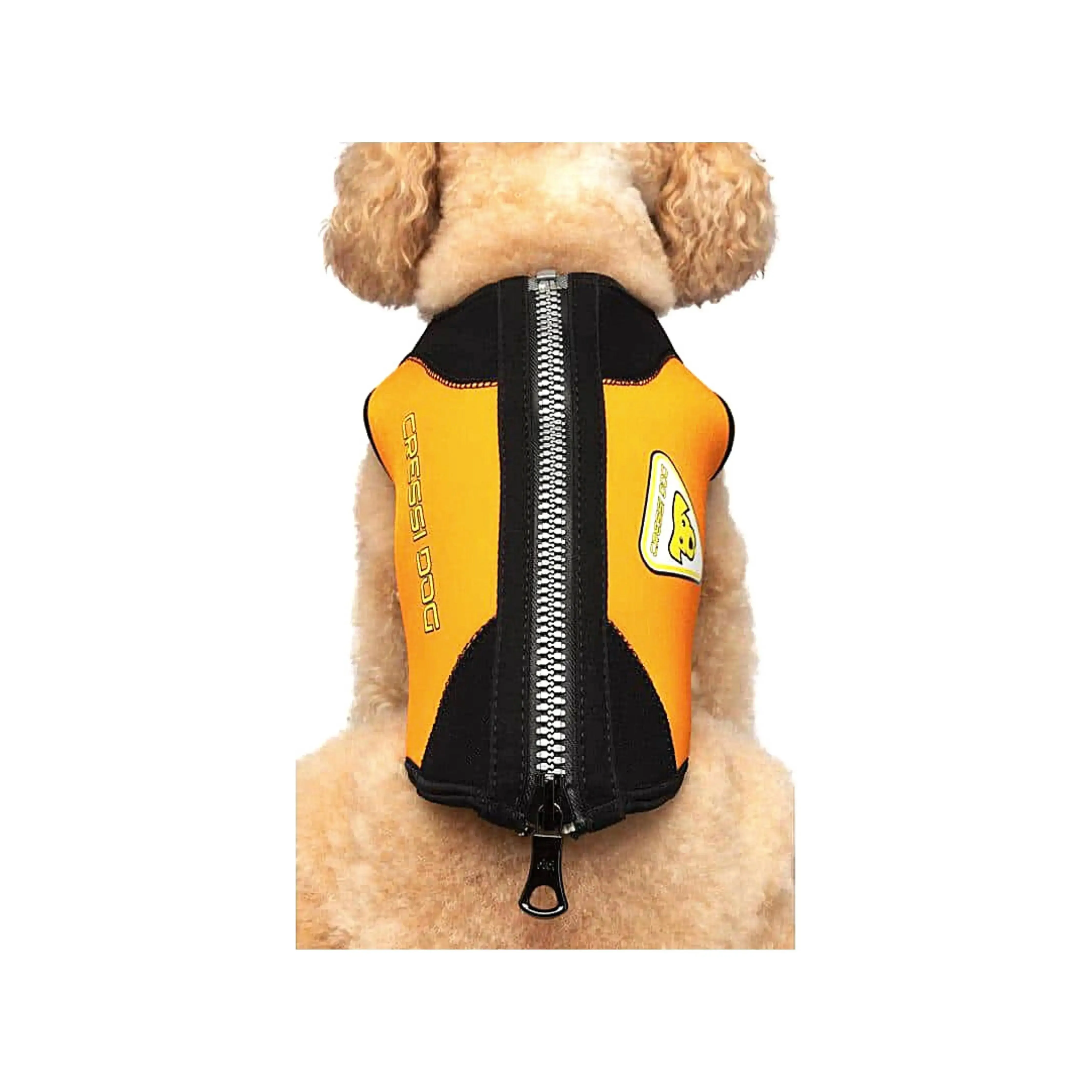 Dog Wetsuit Small Sizes | CRESSI DOG