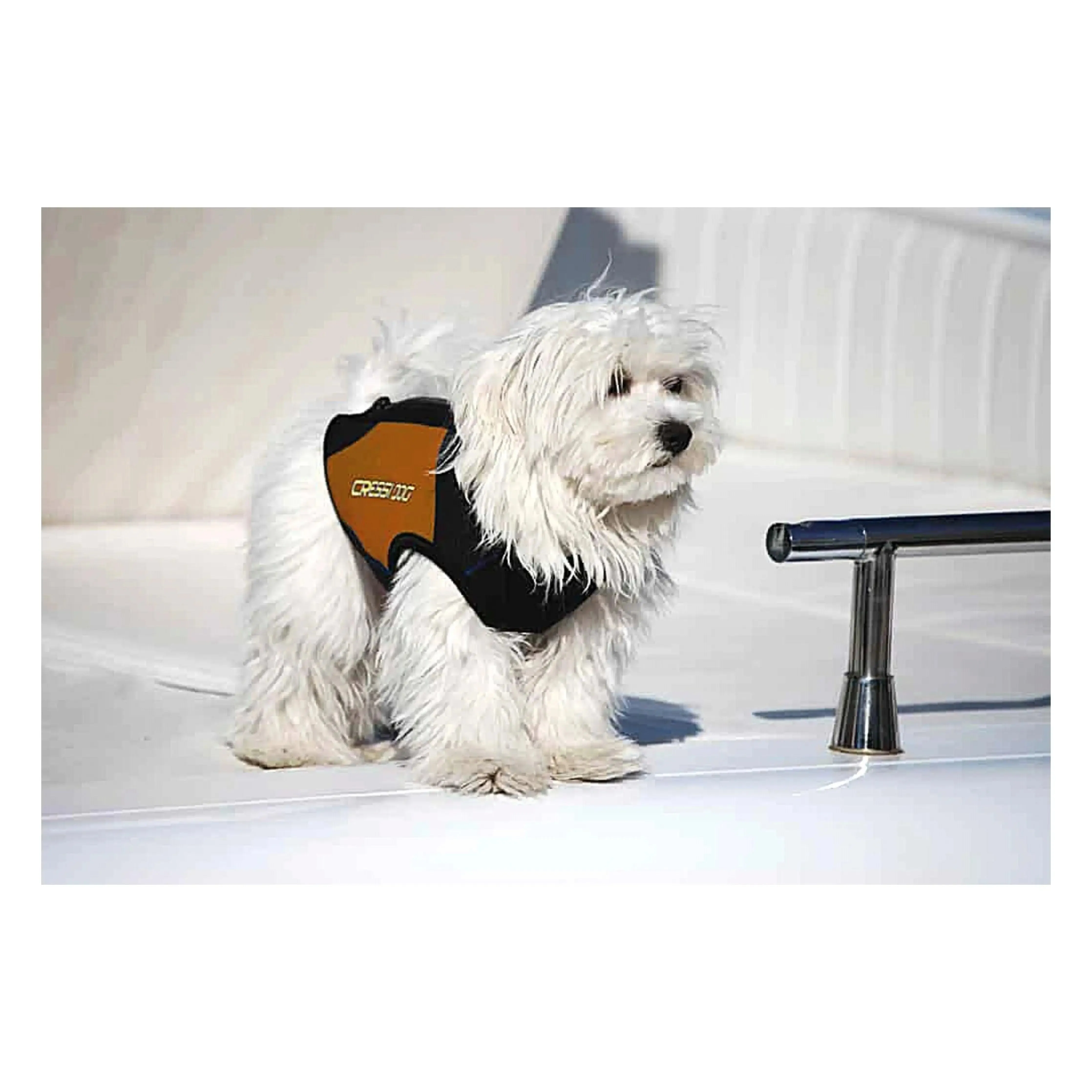 Dog Wetsuit Small Sizes | CRESSI DOG