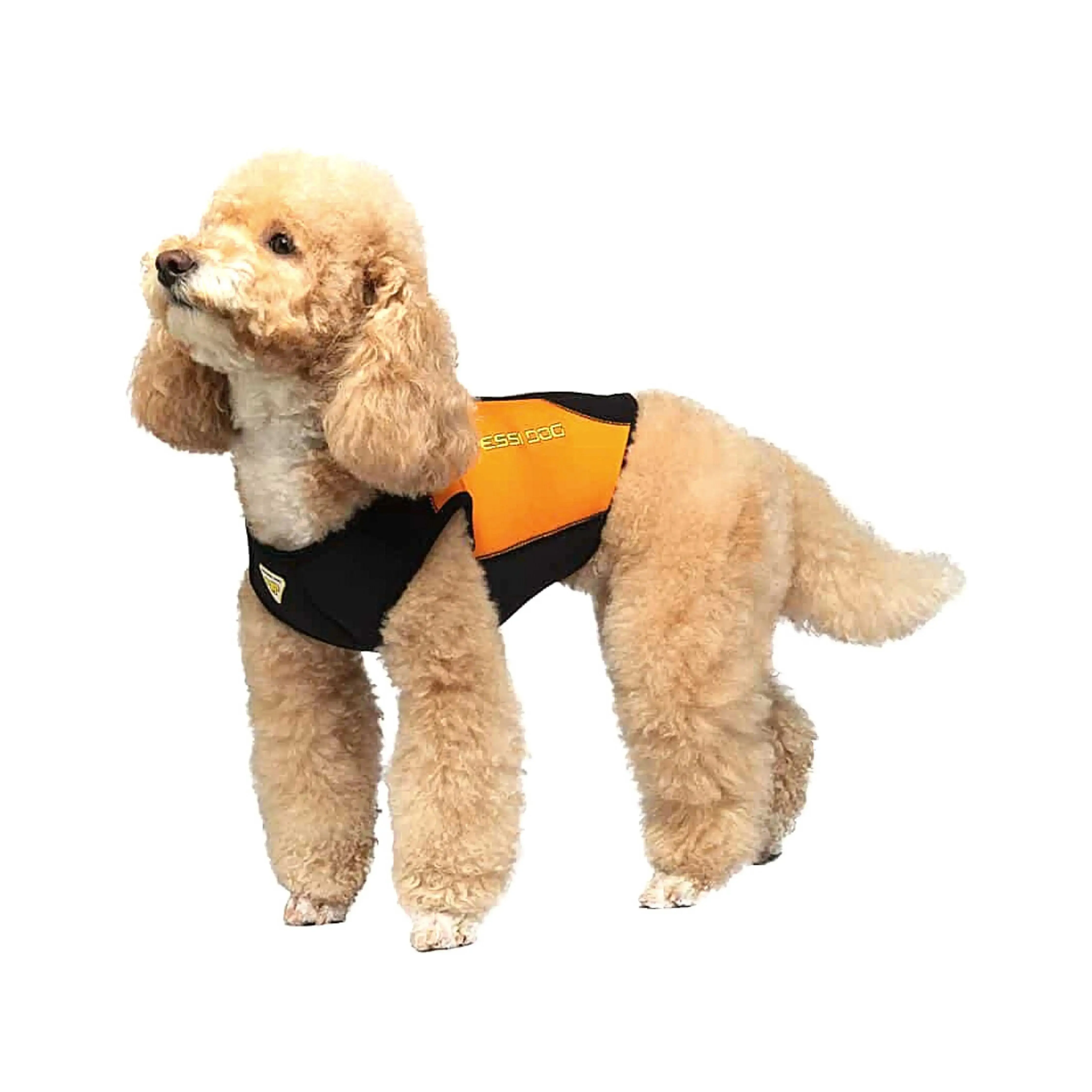 Dog Wetsuit Small Sizes | CRESSI DOG