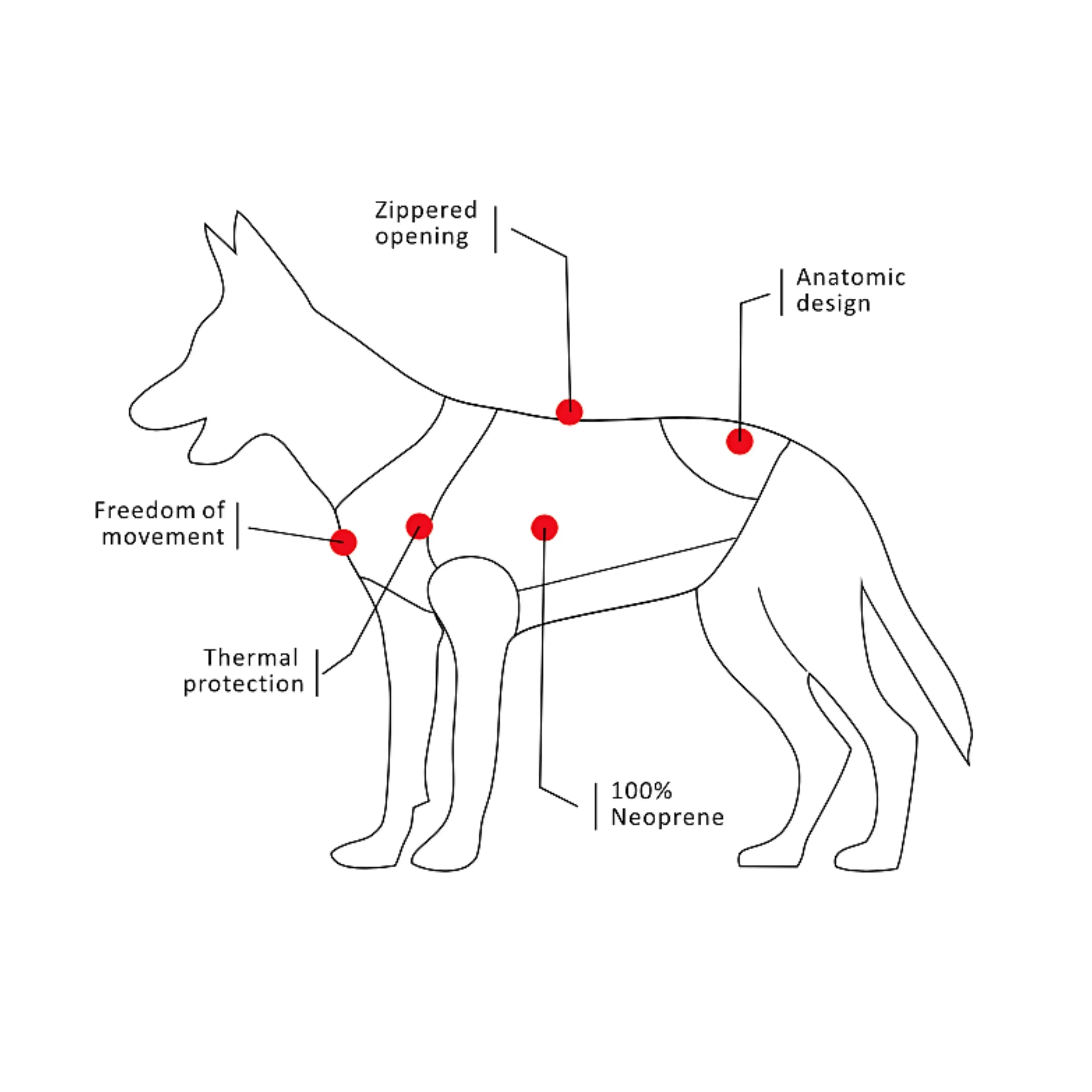 Dog Wetsuit Small Sizes | CRESSI DOG