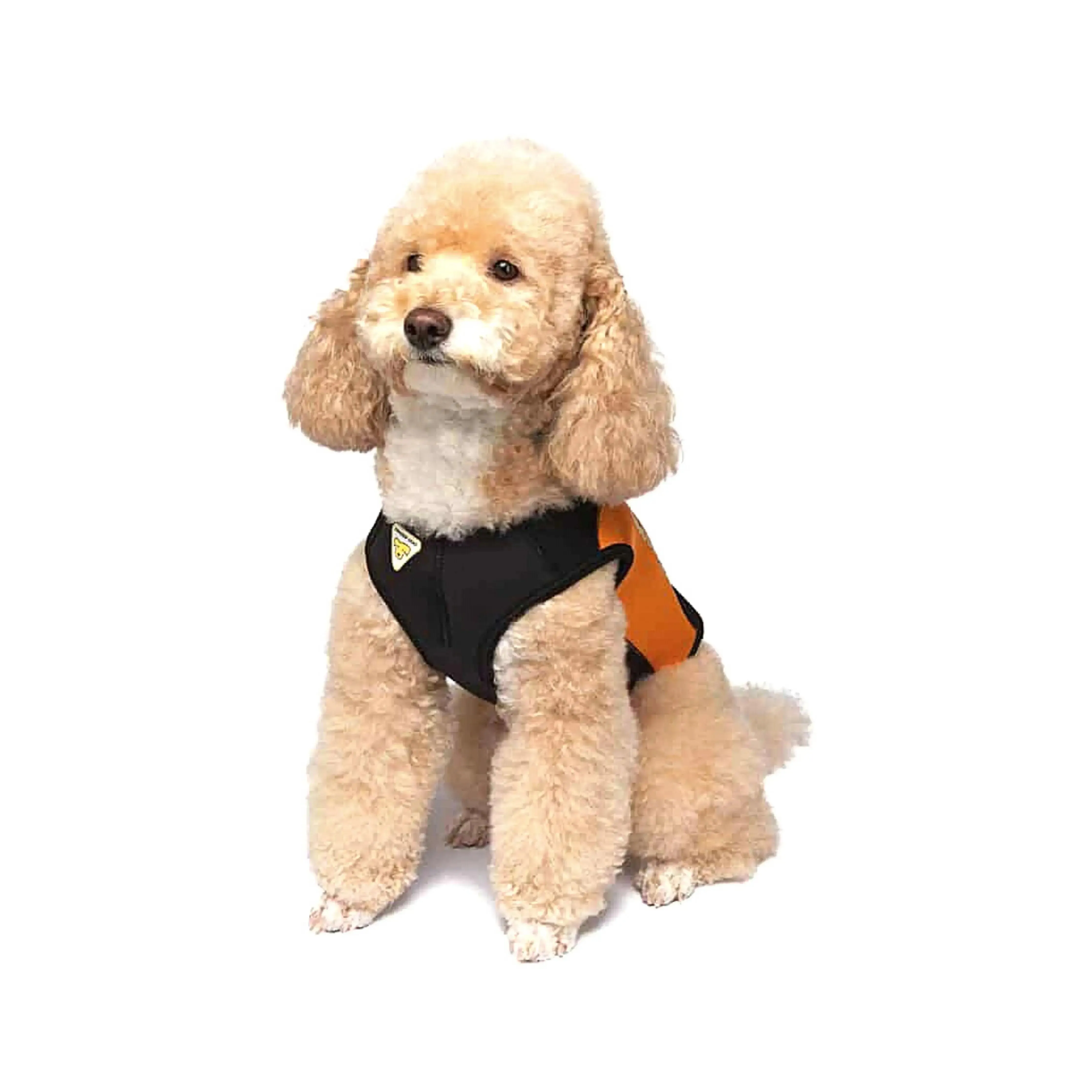 Dog Wetsuit Small Sizes | CRESSI DOG