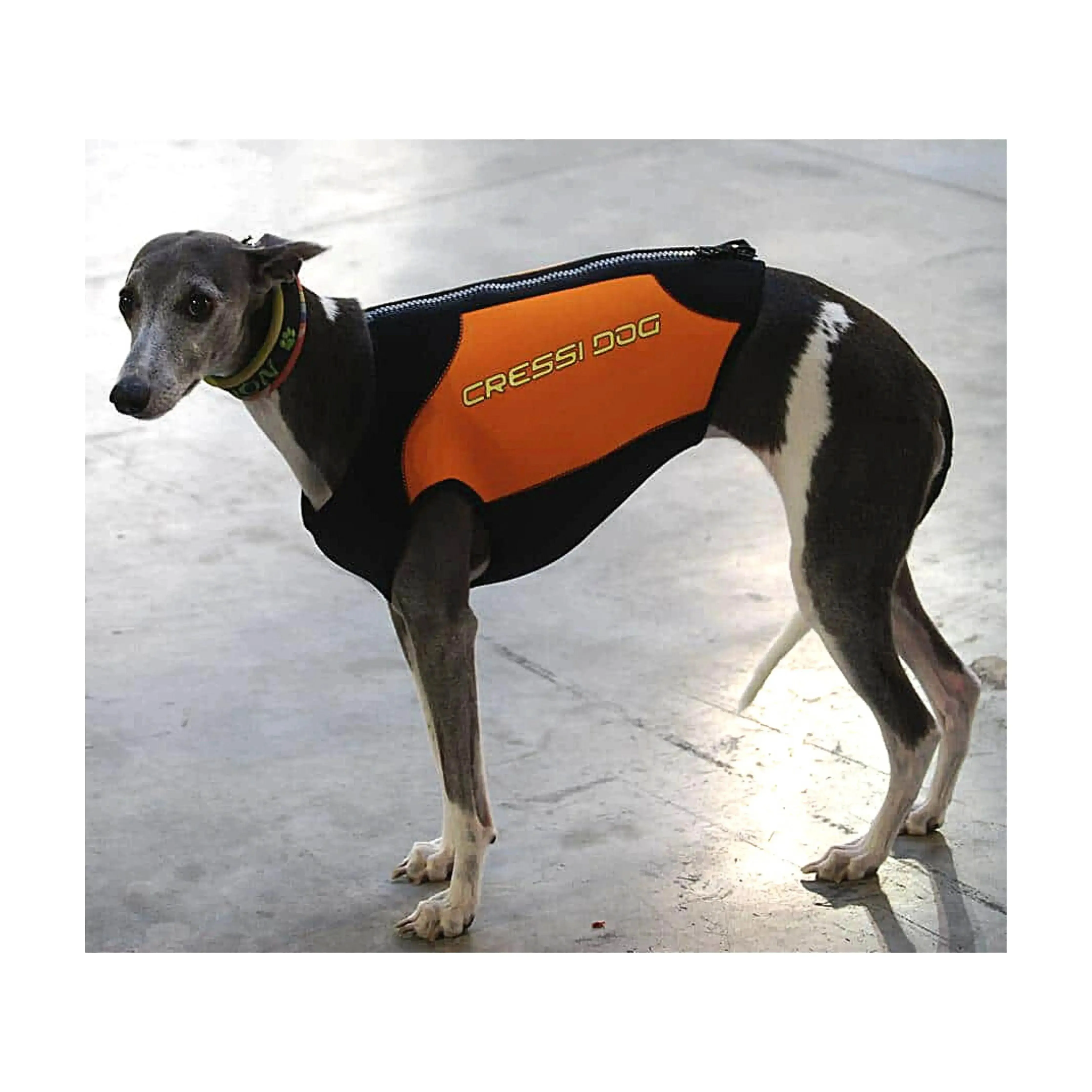 Dog Wetsuits Medium Sizes | CRESSI DOG