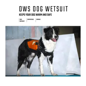 Dog Wetsuits Medium Sizes | CRESSI DOG