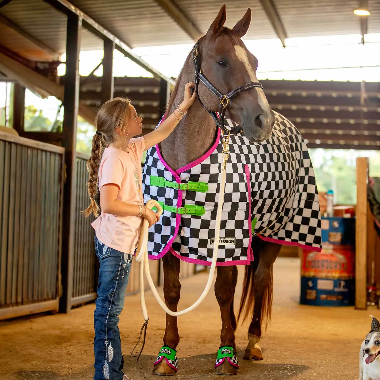 In Stock Now! Jeffers Expression 1200 Denier Standard Neck Turnout Blanket, 240 Gram, Skater Cowgirl