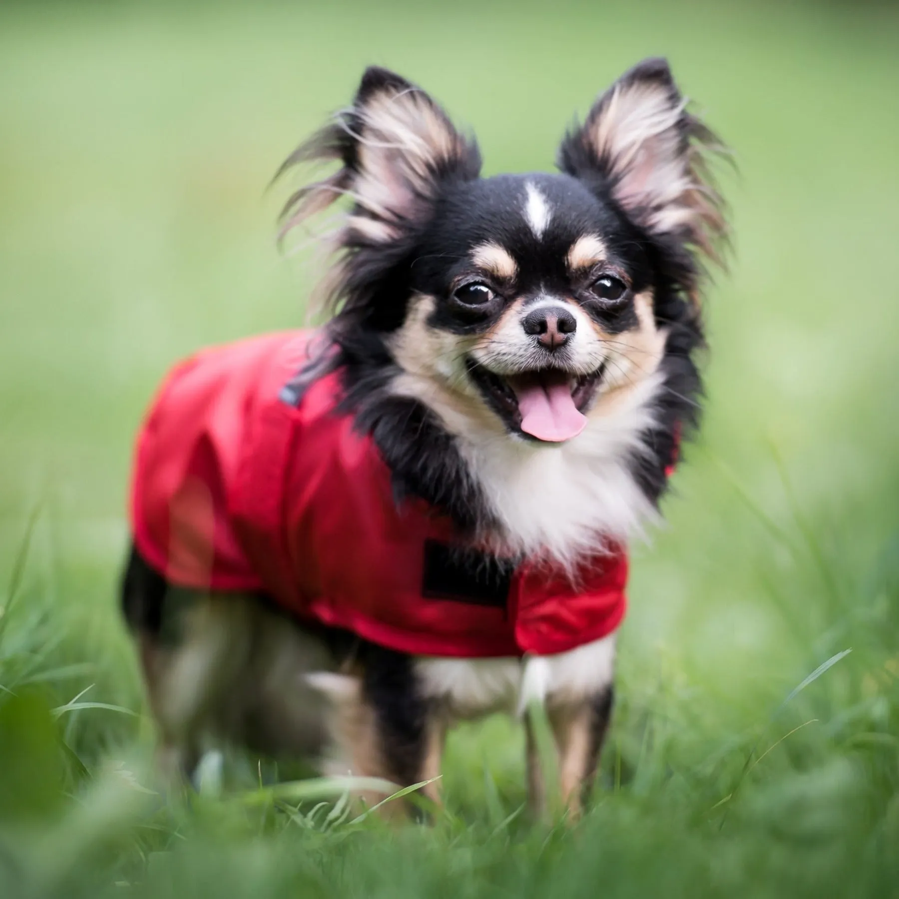Red Raincoat - Bristol